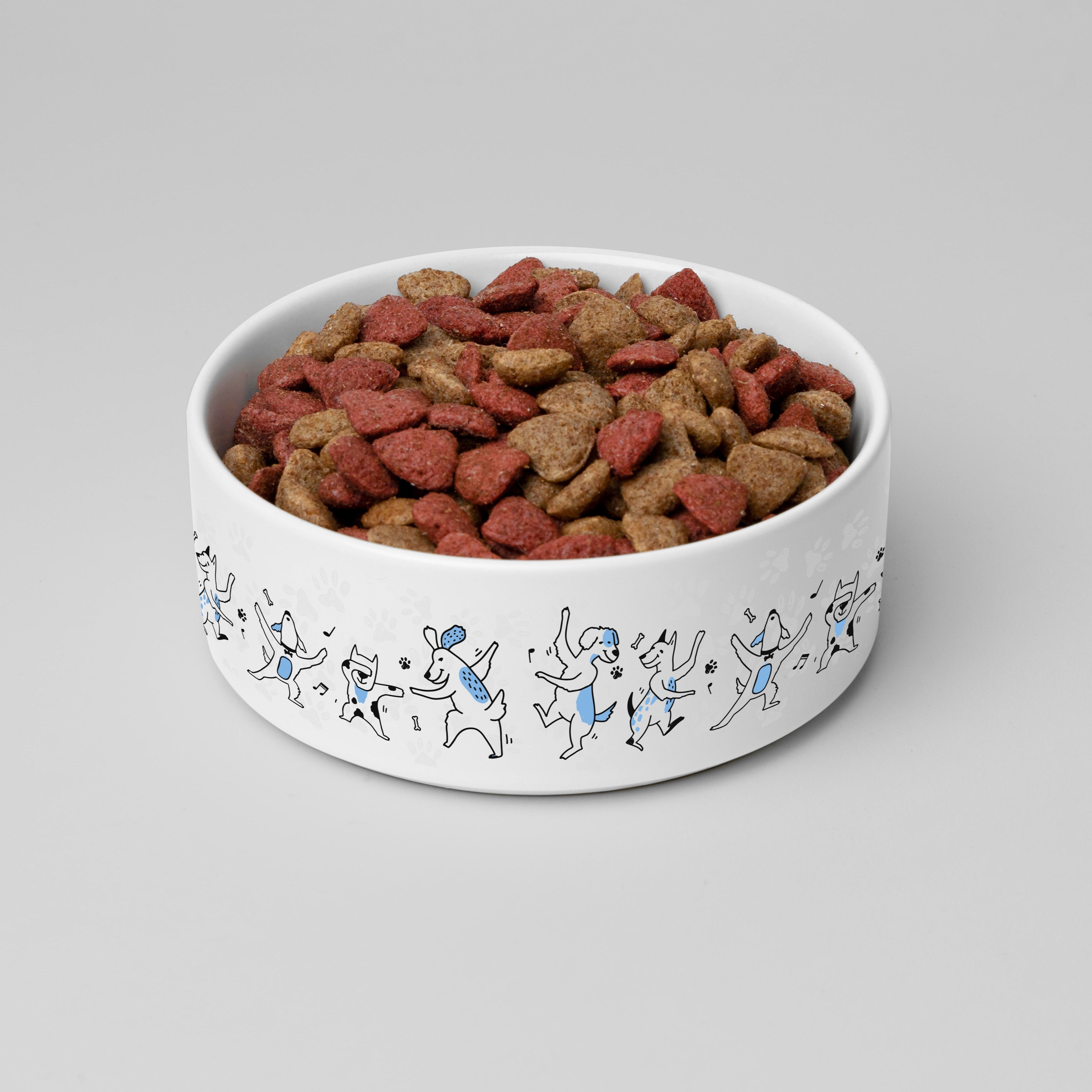 Playful Dance Print Ceramic Pet Bowl